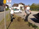 Ansäen der Blumenwiese in Schaibing am 07.05.2016