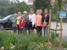 Blumenwiese am 27. Juli - Impressionen