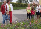 Blumenwiese am 27. Juli - Impressionen