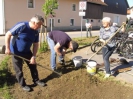 Ansäen der Blumenwiese in Schaibing am 07.05.2016