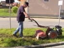 Ansäen der Blumenwiese in Schaibing am 07.05.2016