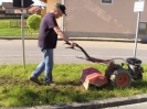 Ansäen der Blumenwiese in Schaibing am 07.05.2016