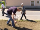 Ansäen der Blumenwiese in Schaibing am 07.05.2016