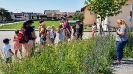 Herbarium Basteln