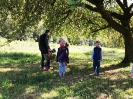 Eltern und Kinder genießen Äpfel frisch vom Baum