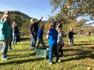 Eltern und Kinder genießen Äpfel frisch vom Baum