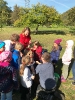 Eltern und Kinder genießen Äpfel frisch vom Baum