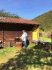 Eltern und Kinder genießen Äpfel frisch vom Baum