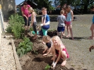 Kartoffeln und Gemüse im Schulgarten pflanzen 21.05.2014
