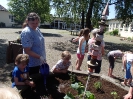 Kartoffeln und Gemüse im Schulgarten pflanzen 21.05.2014_2