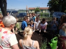 Kartoffeln und Gemüse im Schulgarten pflanzen 21.05.2014