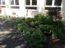 Kartoffeln und Gemüse im Schulgarten pflanzen 21.05.2014_4