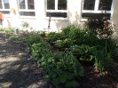 Kartoffeln und Gemüse im Schulgarten pflanzen 21.05.2014