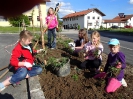 NIederbayern blüht auf in Schaibing_1